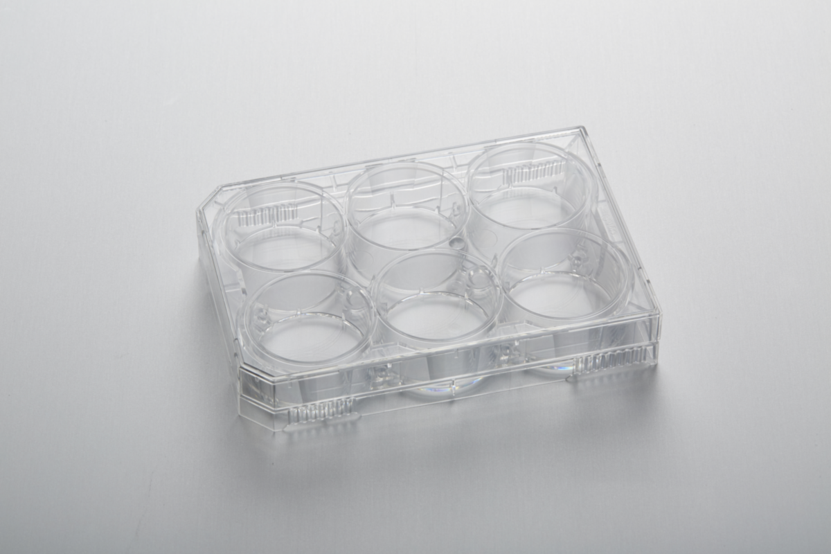 Планшет для культур клітин CytoOne® , 6 лунок, ТС-оброблений, стерильний